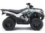 2022 Kawasaki Brute Force 300