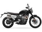 2024 Triumph Scrambler 1200 X