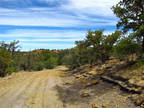 New Mexico Land for Sale, 1.4 Acres near Ramah