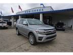 2024 Ford Expedition Silver, 10 miles