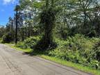 Plot For Sale In Pahoa, Hawaii