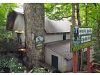 Inn for Sale: Blood Mountain Cabins