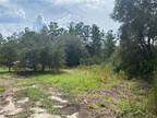 Plot For Sale In Homosassa, Florida