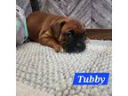 Tubby