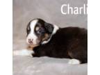 Charlie