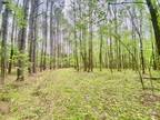 Plot For Sale In Water Valley, Mississippi
