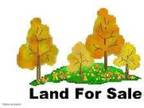 Plot For Sale In Wilson, North Carolina