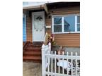 Home For Sale In Woodhaven, New York