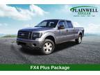Used 2010 FORD F-150 For Sale
