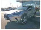 2019 Lexus NX 300 F SPORT