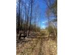 Plot For Sale In Morley, Michigan