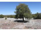 Concho, Private 10-Acre Parcel w/ Stunning Views.