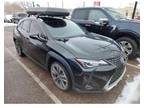 2021 Lexus UX 250h 250h Base