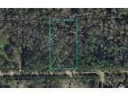Plot For Sale In Bunnell, Florida