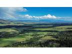 Plot For Sale In Florence, Montana