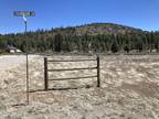 Plot For Sale In Flagstaff, Arizona