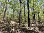 Plot For Sale In Pickens, Mississippi