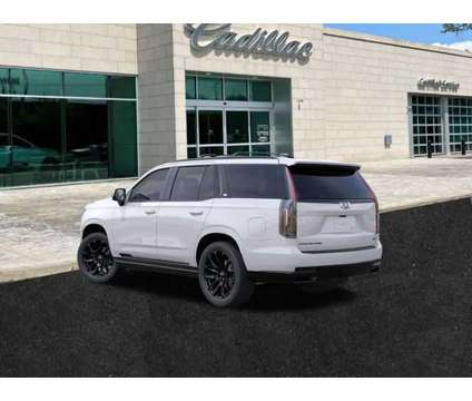 2024 Cadillac Escalade Sport is a White 2024 Cadillac Escalade SUV in Albany NY