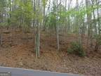 Plot For Sale In Ellijay, Georgia