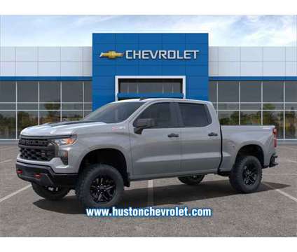 2024 Chevrolet Silverado 1500 Custom Trail Boss is a Grey 2024 Chevrolet Silverado 1500 Custom Truck in Avon Park FL