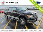 2009 Ford F-150 XLT