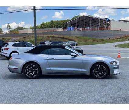 2020 Ford Mustang EcoBoost Premium Convertible is a Silver 2020 Ford Mustang EcoBoost Convertible in Anderson SC