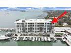 920 N Osceola Ave #801, Clearwater, FL 33755