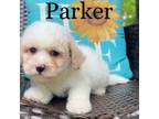 Parker