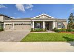 8727 Birchleaf Ct, Land O Lakes, FL 34637