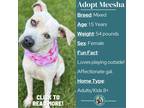 Adopt Meesha a Tan/Yellow/Fawn Mixed Breed (Medium) / Mixed dog in Metamora