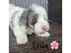 lola