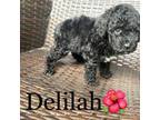 delilah