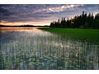 Alaska Land for Sale, 4.53 Acres Deadman Lake