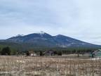 Plot For Sale In Flagstaff, Arizona