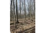 Plot For Sale In Elk Rapids, Michigan