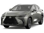 2025 Lexus NX