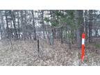 Plot For Sale In Fawn Lake Township, Minnesota