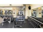 Business For Sale: Health & Fitness Club