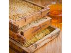 Business For Sale: Organic Honey Harvest & Sales