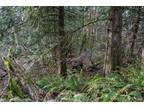 Plot For Sale In Sedro Woolley, Washington