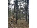 Plot For Sale In Grayling, Michigan