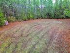 Plot For Sale In Lumberton, Mississippi