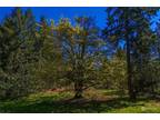 Plot For Sale In Yelm, Washington