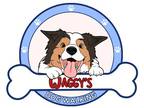 Experienced & Compassionate Pet Sitter and Walker in Wallaceburg