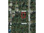 Plot For Sale In Ocklawaha, Florida