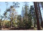 Plot For Sale In Placerville, California