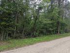 Plot For Sale In Buna, Texas