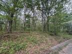 Plot For Sale In Summertown, Tennessee