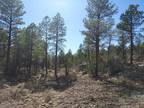 Heber, Diverse terrain offering multiple building sites with