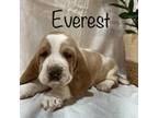 Everest